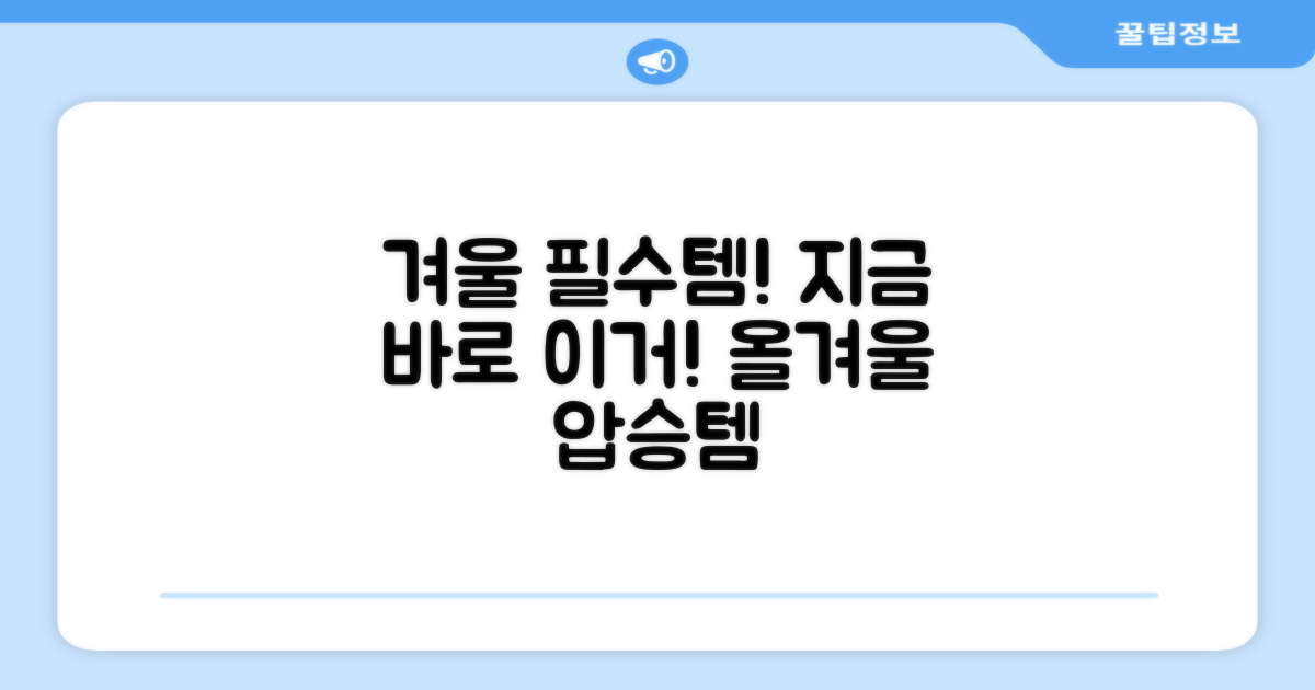 겨울철 필수품, 이젠 이거다