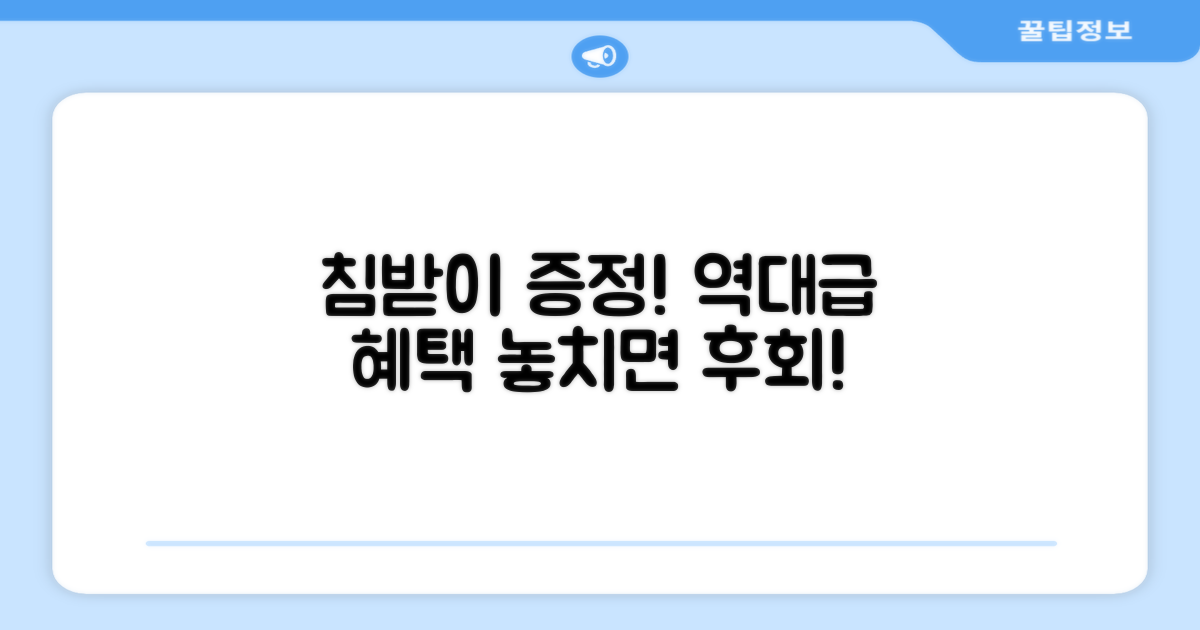 침받이 증정, 추가 혜택 무엇이 있을까?