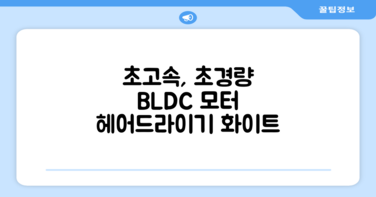 오지렌 초고속 고출력 초경량 음이온 BLDC 모터 헤어 드라이기, 화이트 추천 리뷰