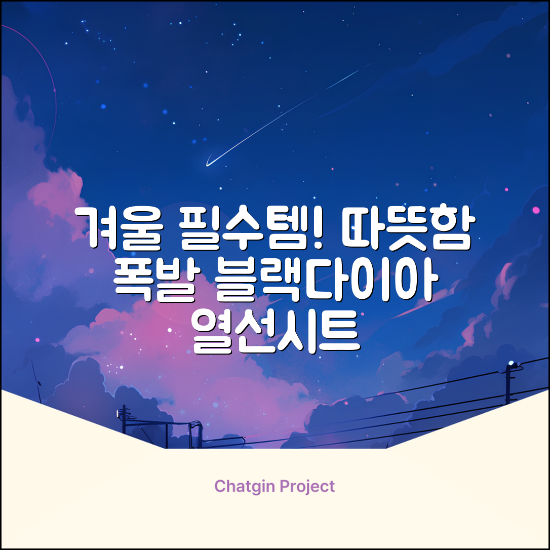 블랙다이아 차량용 열선시트 (1P) 털 겨울 히팅 전기시트, 1개, 12V (운전/조수석) 추천 리뷰
