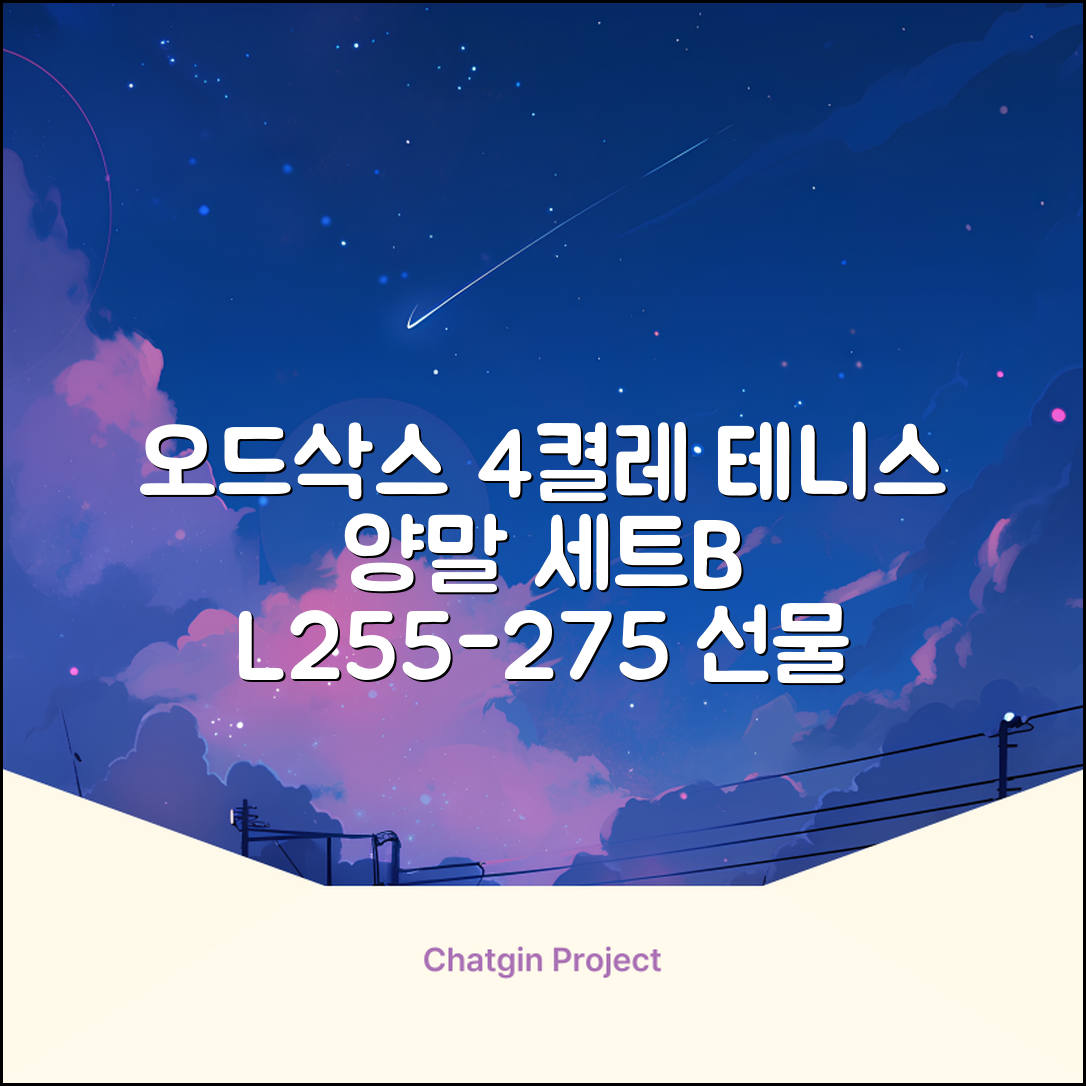 [오드삭스] 테니스 양말 세트B 4켤레 선물용, L(255mm-275mm), 1개 추천 리뷰