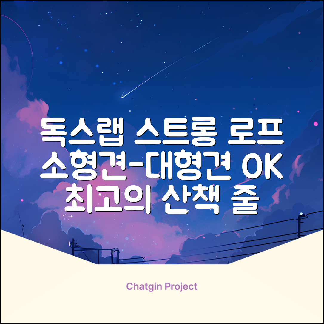 독스랩 1.5m 2m 3m 5m 스트롱 로프 소형견 중형견 대형견 줄 강아지 리드줄 산책줄, 블랙, 1개 추천 리뷰