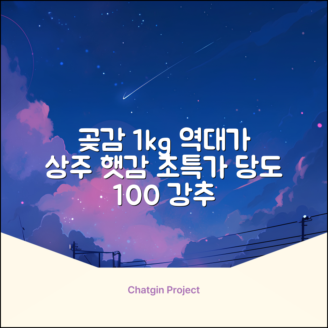 상주 곶감 초특가 1kg 고당도 햇감, 1개 추천 리뷰