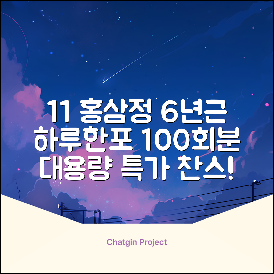 [1+1 특가] 홍삼정 6년근 하루한포 100회분 대용량+쇼핑백, 2개, 1L 추천 리뷰