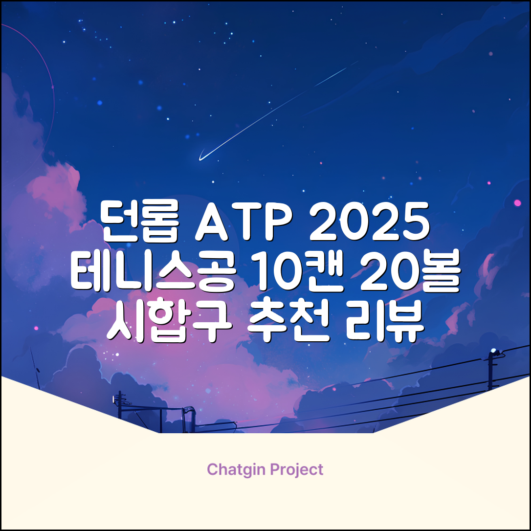 2025 던롭 ATP 테니스공 10캔 (20볼) 시합구, 던롭 ATP볼 10캔 (20볼), 10세트 추천 리뷰