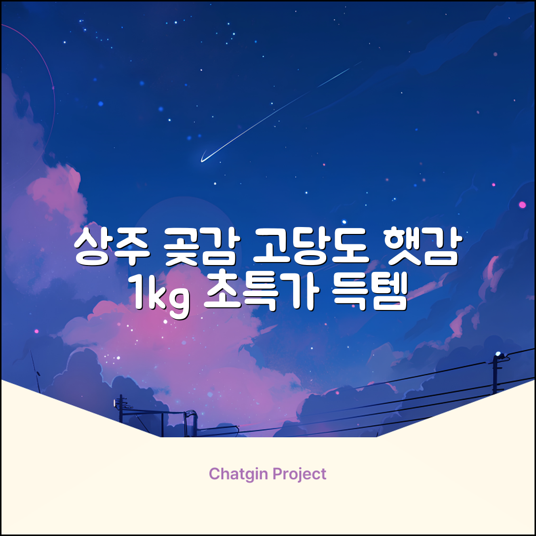 상주 곶감 초특가 1kg 고당도 햇감, 1개 추천 리뷰