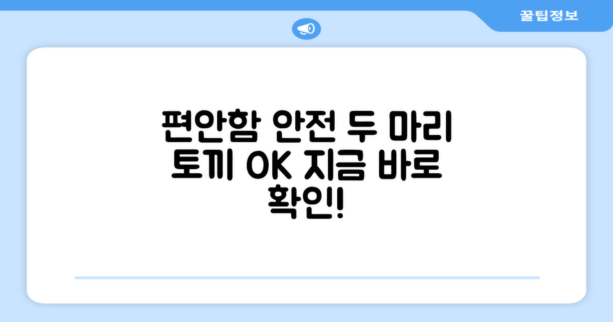 편안함과 안전, 두 마리 토끼