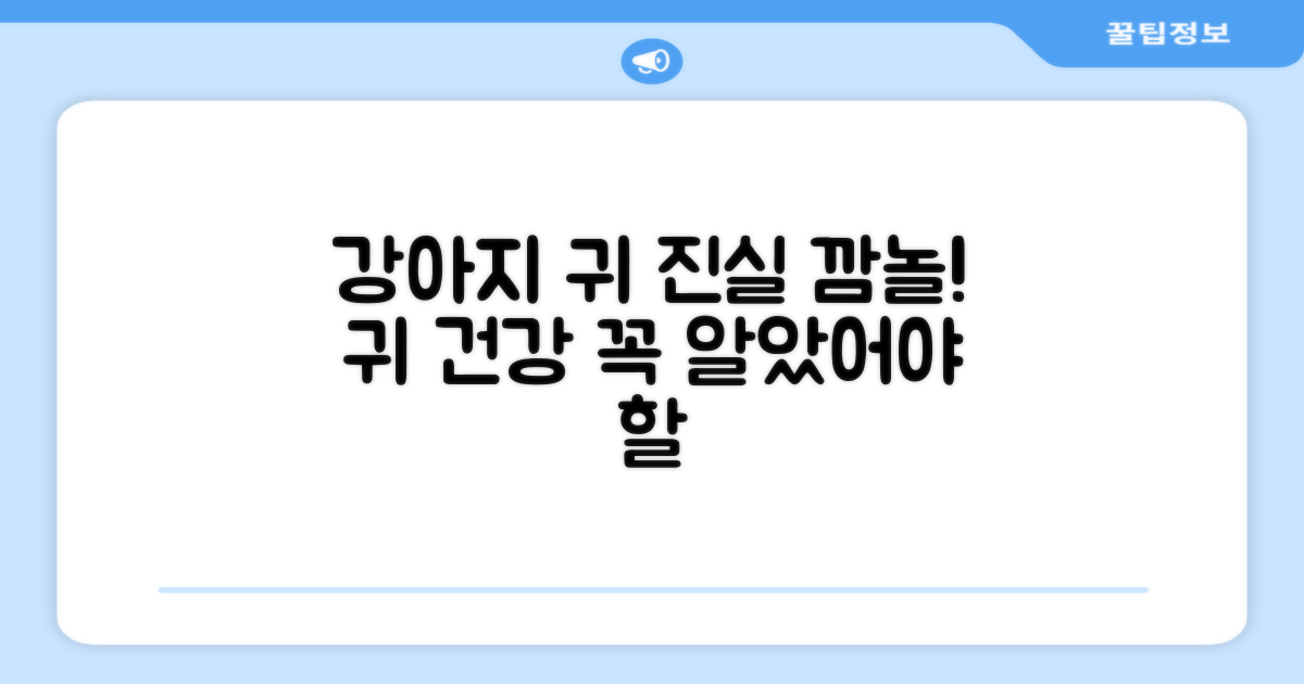 강아지 귀 건강, 몰랐던 진실