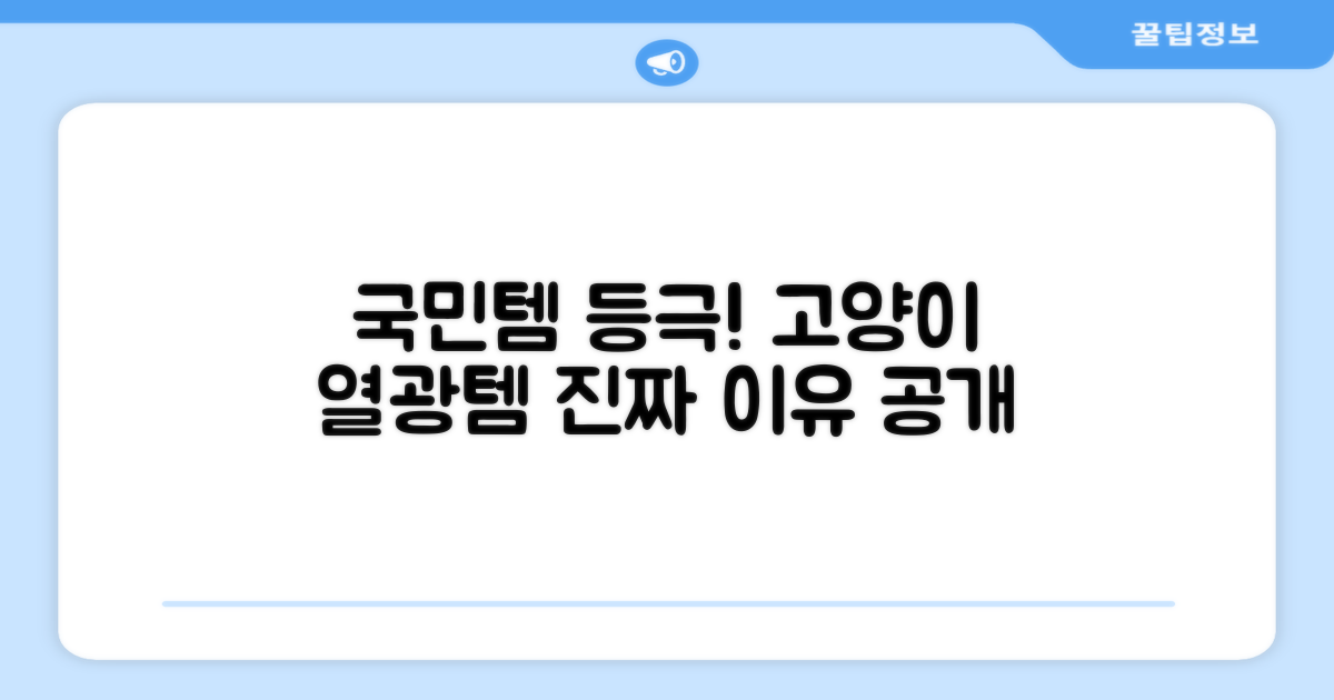 국민 고양이템 등극
