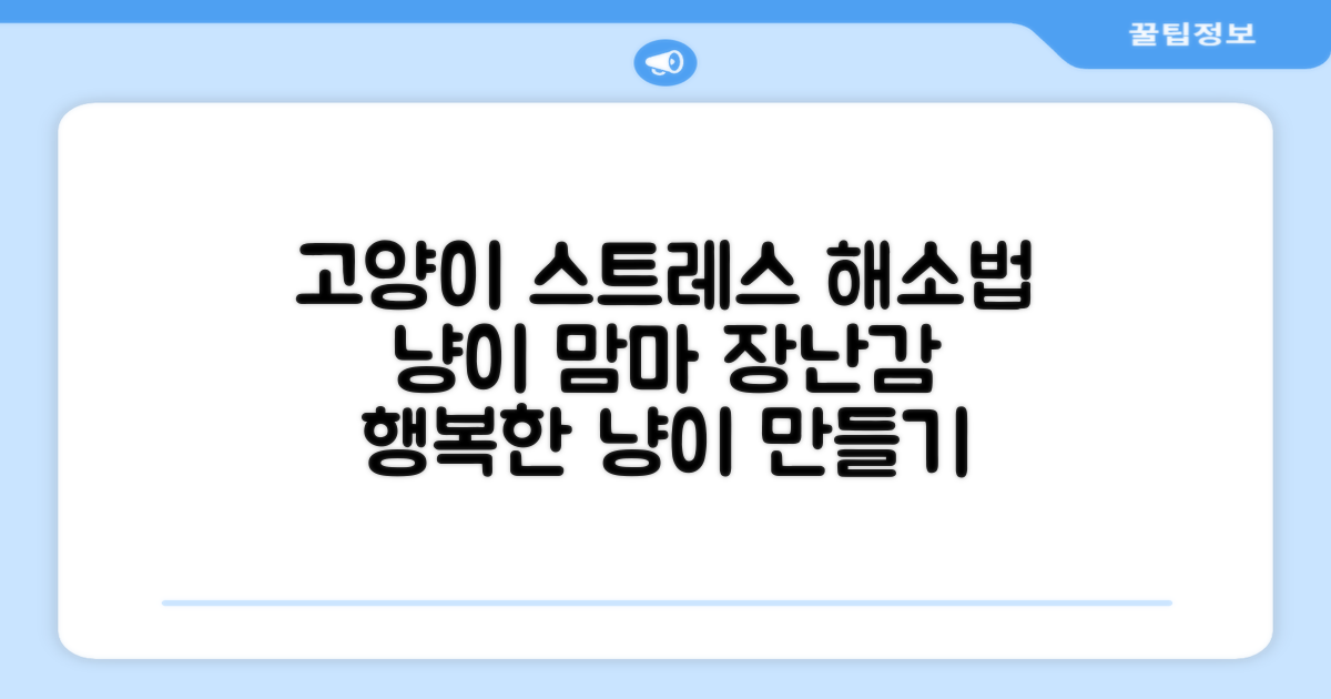 냥이 스트레스 해소