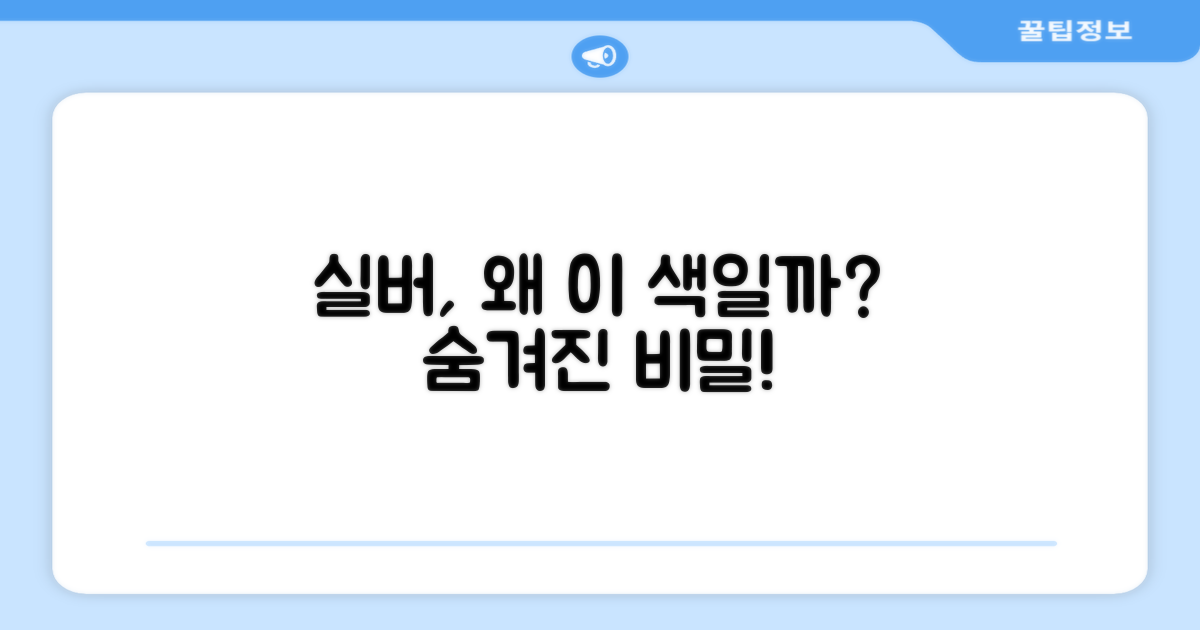 왜 실버 색상을 선택할까?