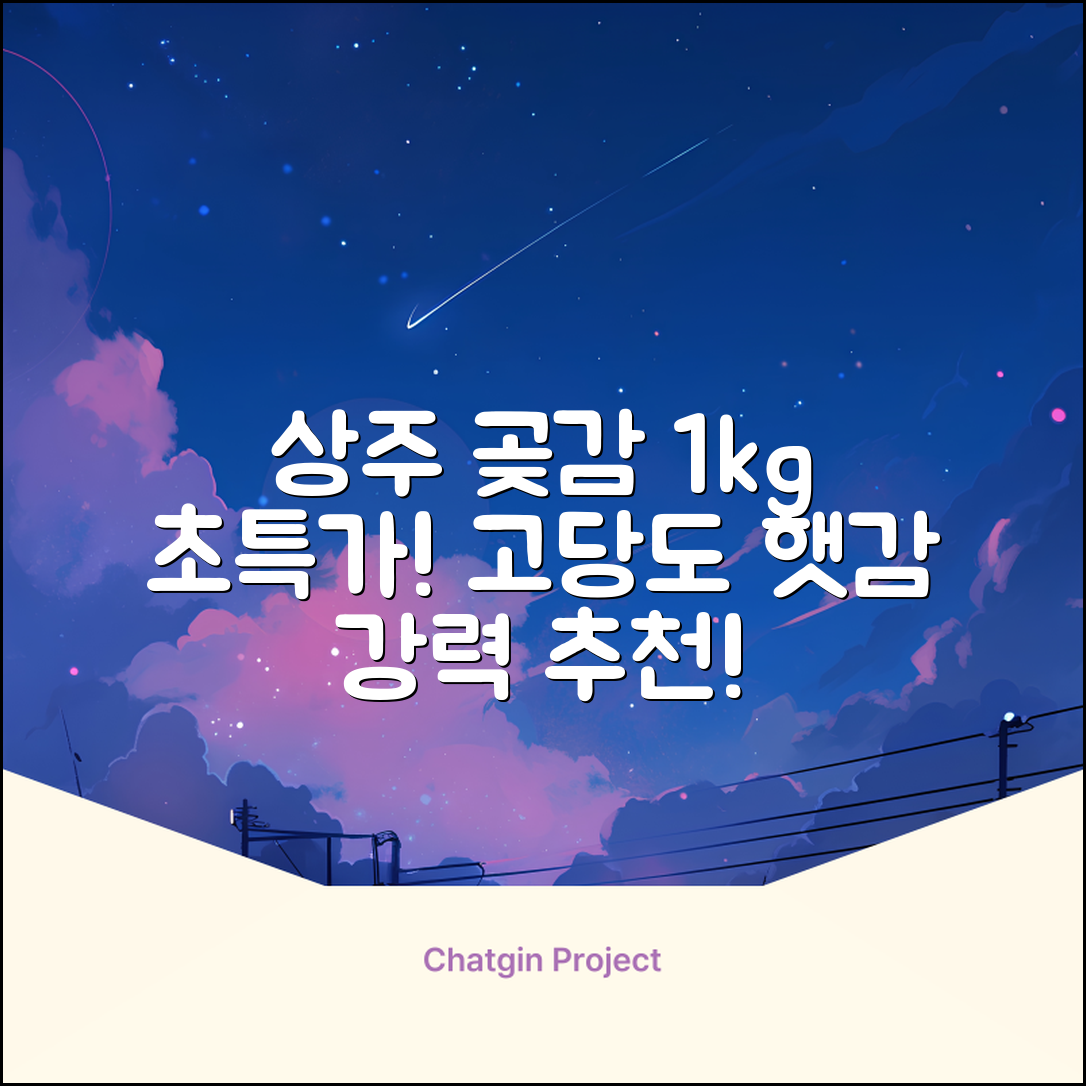 상주 곶감 초특가 1kg 고당도 햇감, 1개 추천 리뷰