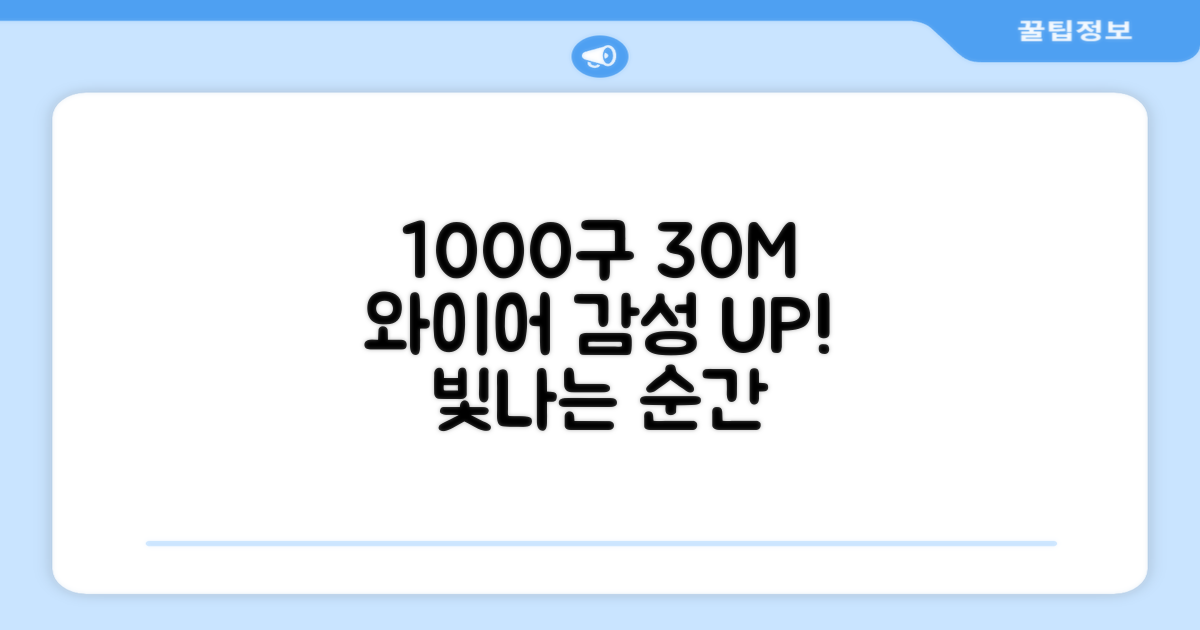 1000구 30M 와이어 장식