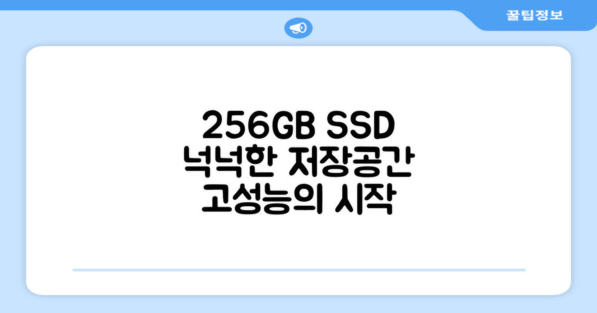 256GB SSD, 저장 공간