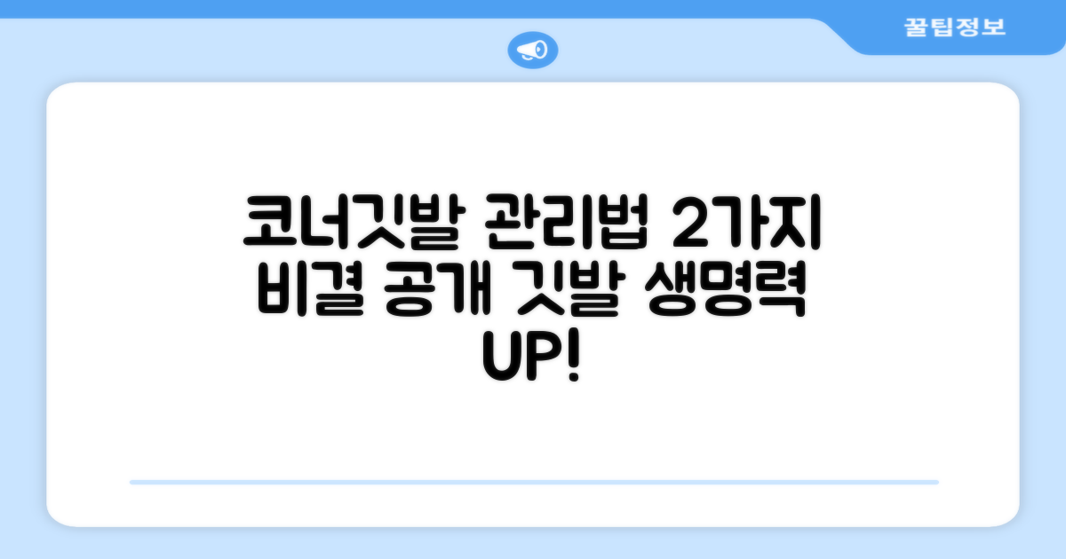 2가지 코너깃발 관리법