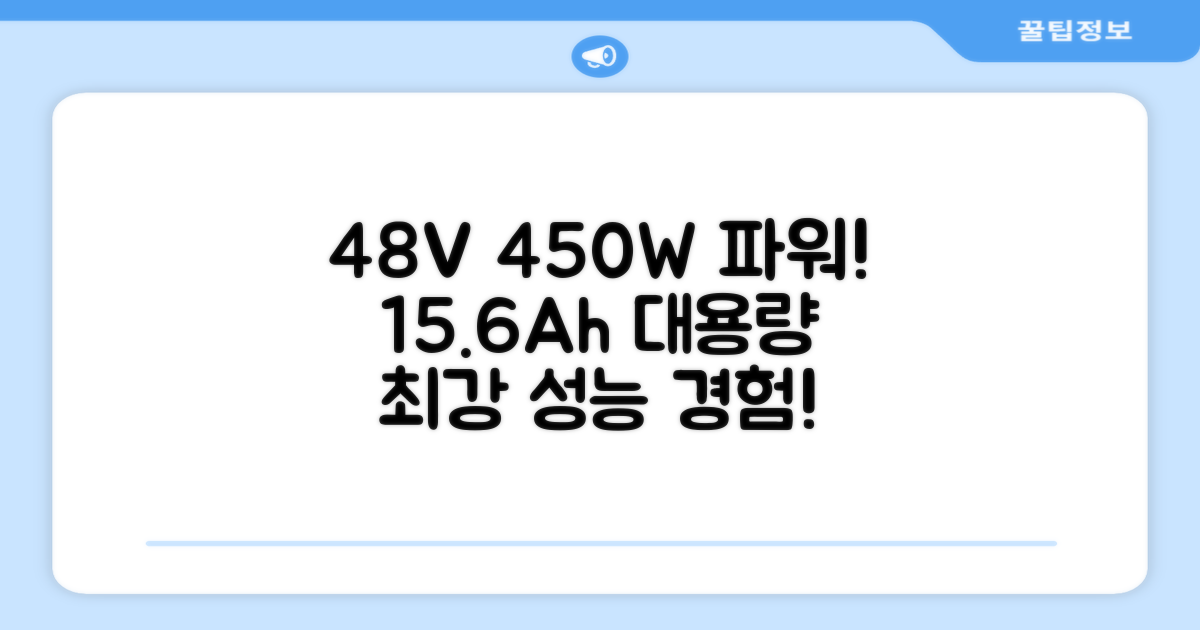 48V 450W 15.6Ah 성능을 누리세요
