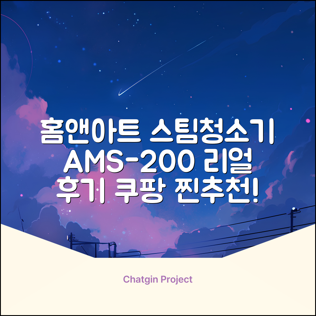 홈앤아트 퓨어 스팀청소기 AMS-200 추천 리뷰