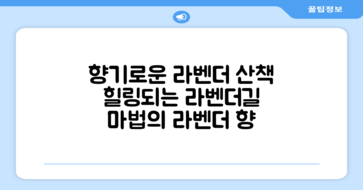 라벤더향으로 산책 즐겨요