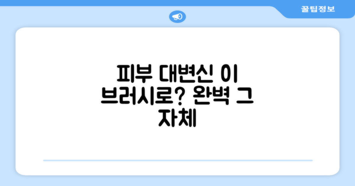 완벽한 피부, 이 브러시로?