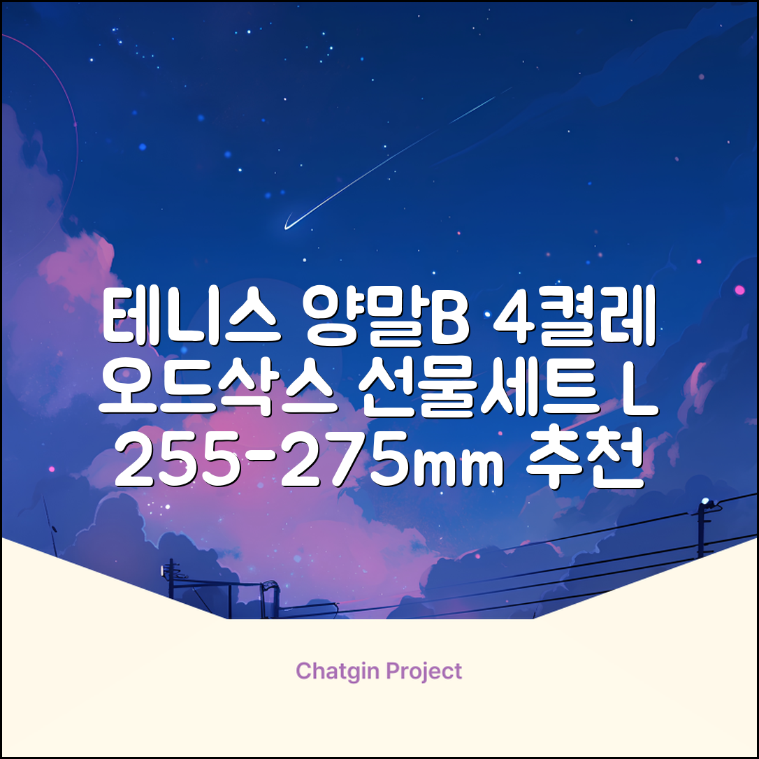 [오드삭스] 테니스 양말 세트B 4켤레 선물용, L(255mm-275mm), 1개 추천 리뷰