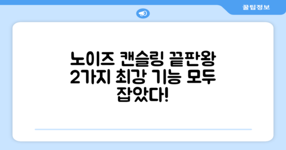 2가지 강력한 노이즈 캔슬링