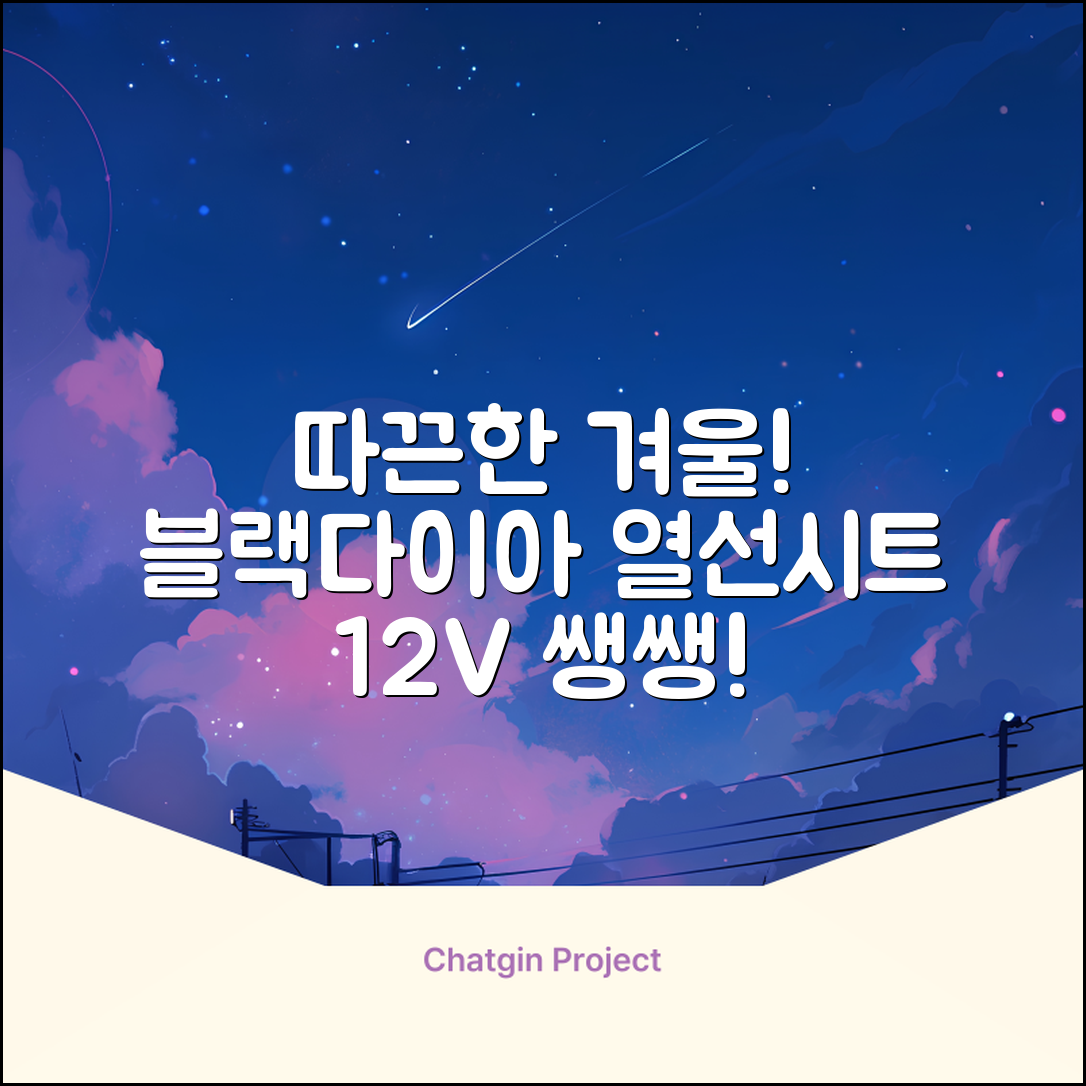 블랙다이아 차량용 열선시트 (1P) 털 겨울 히팅 전기시트, 1개, 12V (운전/조수석) 추천 리뷰