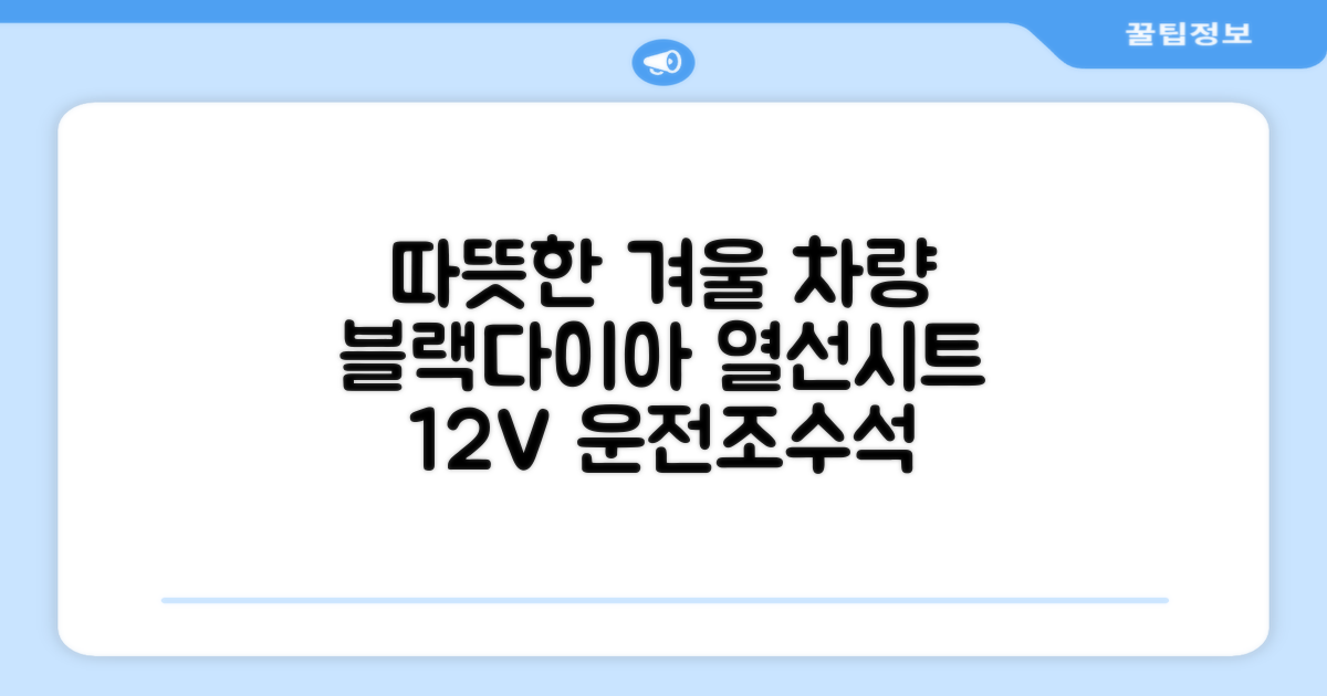 블랙다이아 차량용 열선시트 (1P) 털 겨울 히팅 전기시트, 1개, 12V (운전/조수석) 추천 리뷰