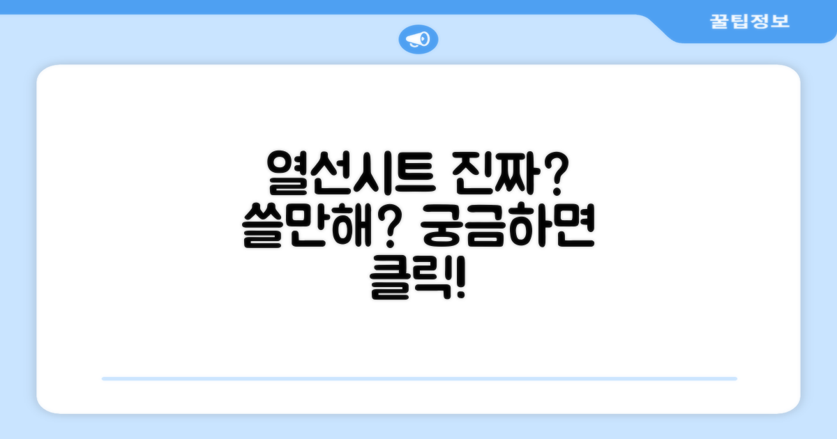 이 열선시트, 정말 쓸 만할까?