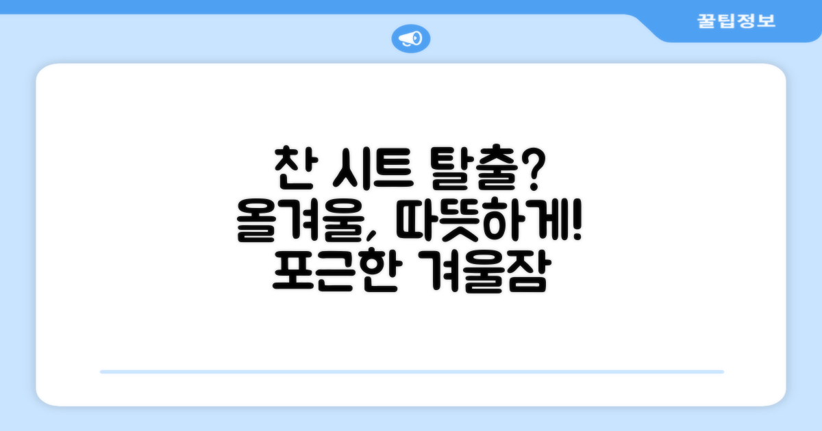 올겨울, 찬 시트에서 벗어날 수 있을까?