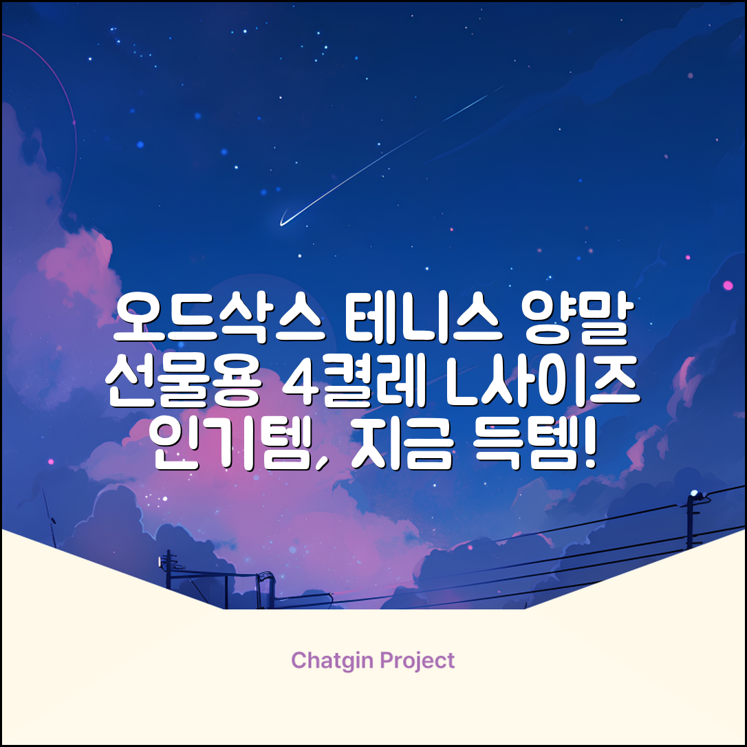 [오드삭스] 테니스 양말 세트B 4켤레 선물용, L(255mm-275mm), 1개 추천 리뷰