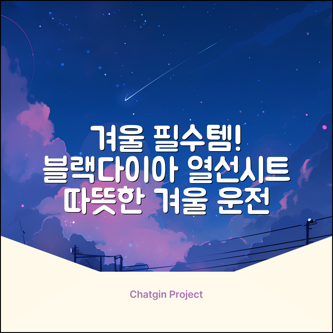 블랙다이아 차량용 열선시트 (1P) 털 겨울 히팅 전기시트, 1개, 12V (운전/조수석) 추천 리뷰
