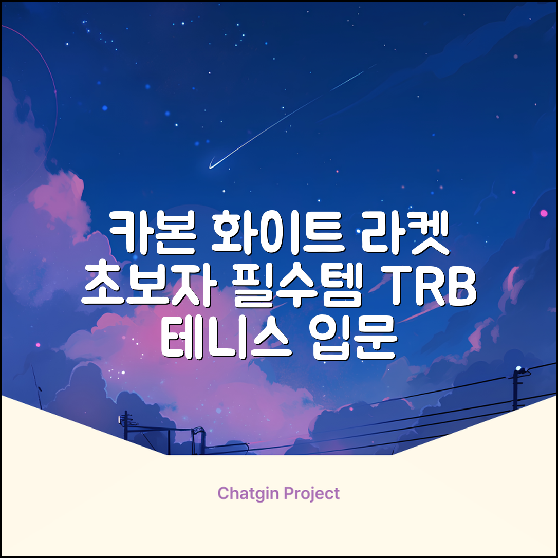 티알비 입문용 테니스라켓 여성 남자, 1개, 카본 화이트 추천 리뷰