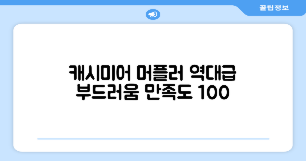 만족도 높은 캐시미어 머플러 후기