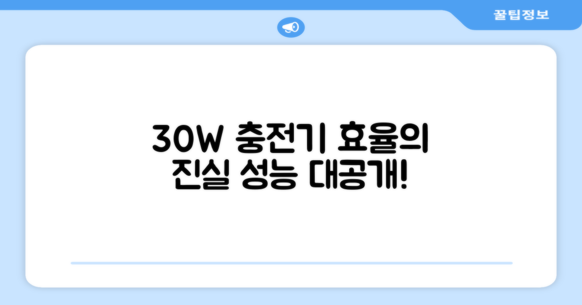 30W 충전기 효율은?