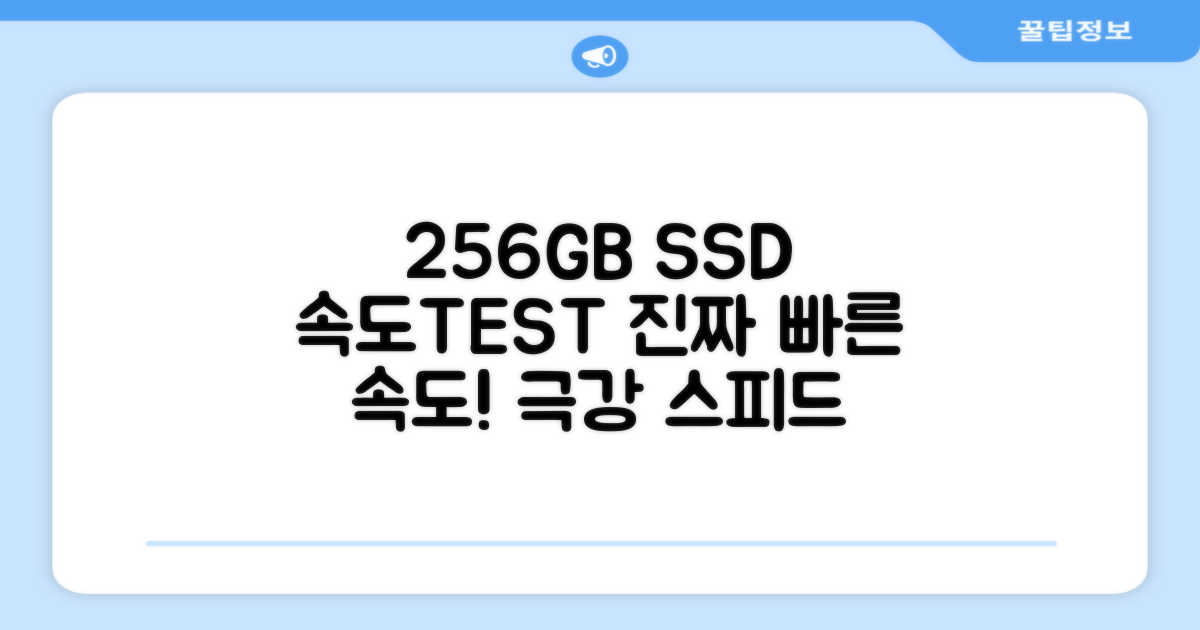 256GB SSD 속도 테스트