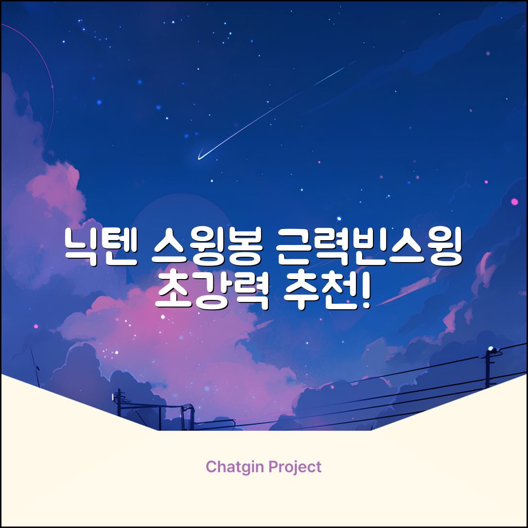 닉텐 배드민턴 스윙연습봉 - 근력강화 및 빈스윙연습, 1개, 스윙연습기 추천 리뷰