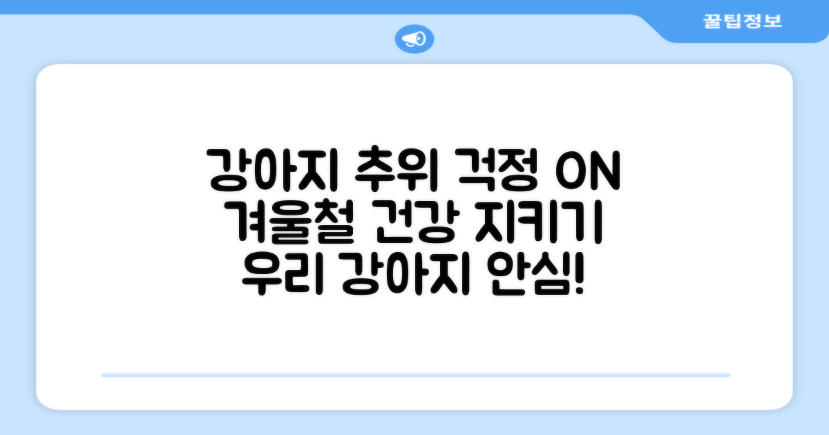 추위 속 우리 강아지, 안심할까?