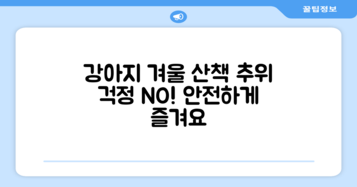 강아지 겨울 산책, 걱정 없나요?