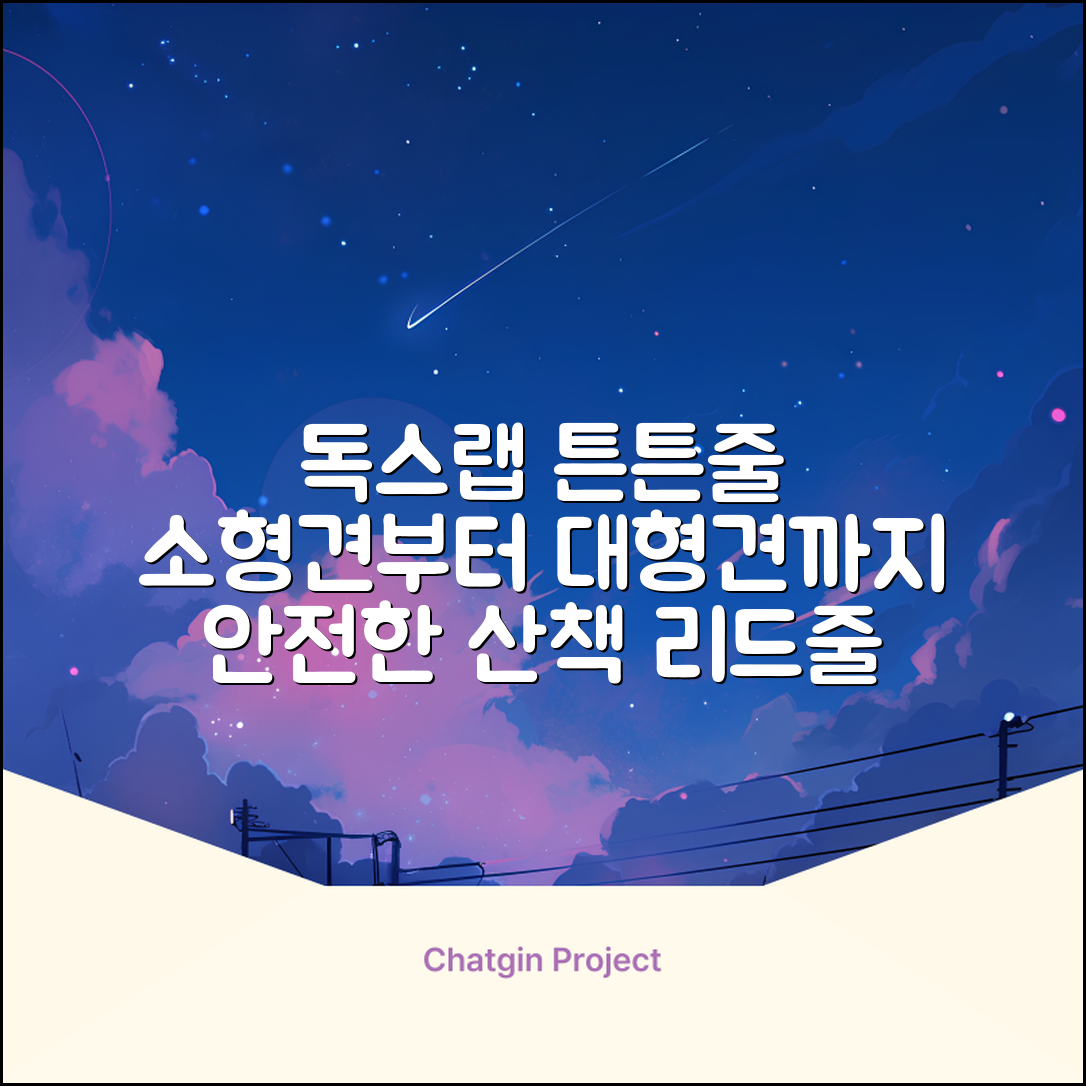 독스랩 1.5m 2m 3m 5m 스트롱 로프 소형견 중형견 대형견 줄 강아지 리드줄 산책줄, 블랙, 1개 추천 리뷰
