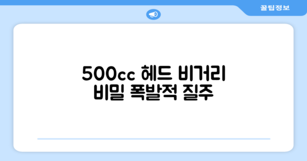 500cc 헤드, 비거리의 비밀
