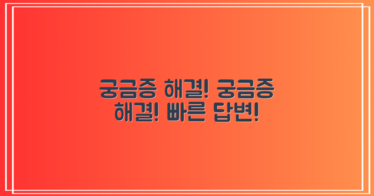 자주 묻는 질문