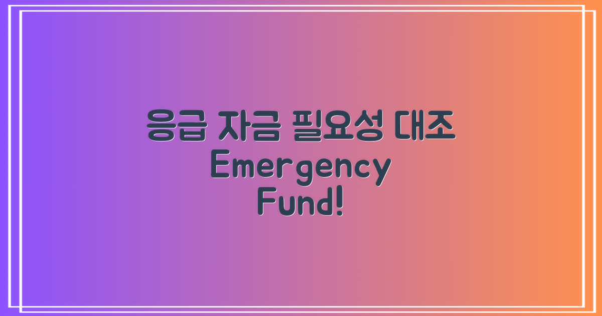 응급 자금의 필요성 대조